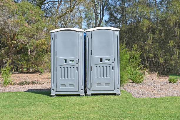 Lawn Drainage Solutions in Nedrow, NY